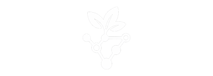 CuyoConnect